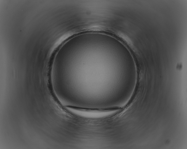 X0000092231410200710051210