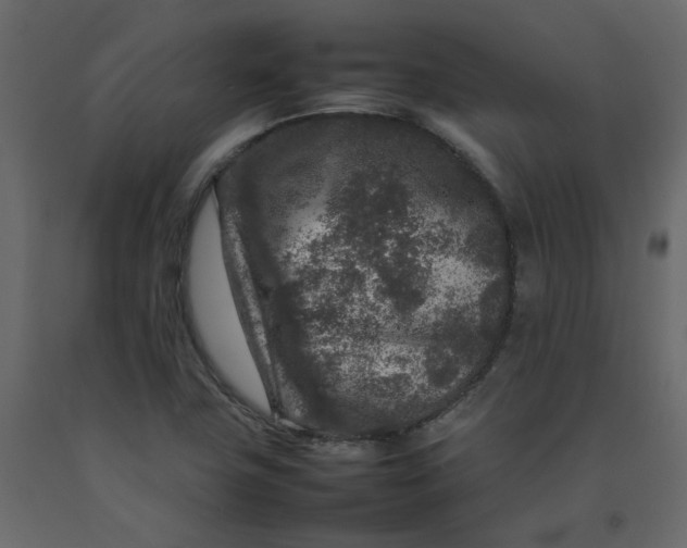 X0000092231411200710051210