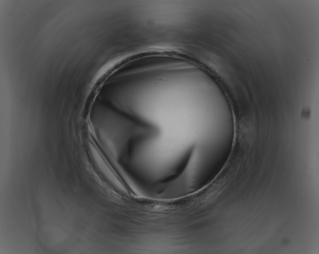 X0000092231412200710051210