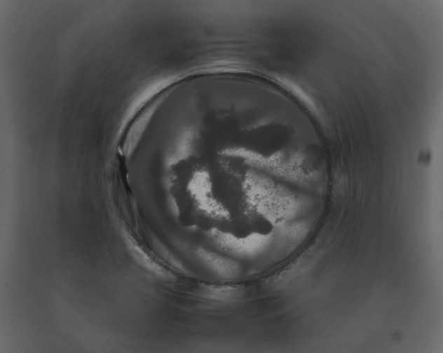 X0000092231413200710051210