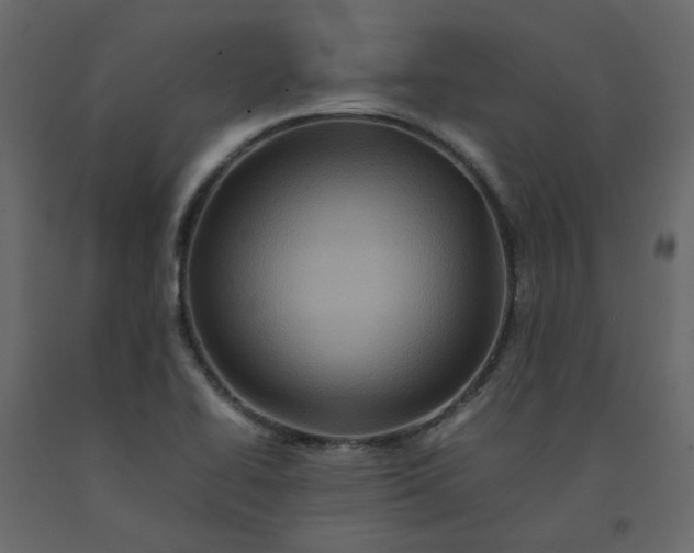 X0000092231414200710051210