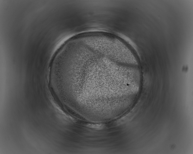 X0000092231415200710051210