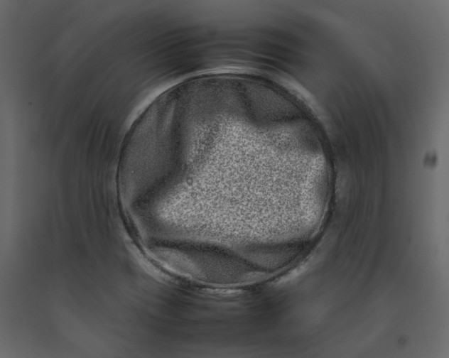 X0000092231417200710051210