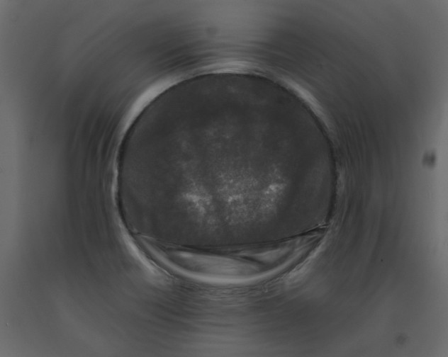 X0000092231418200710051210