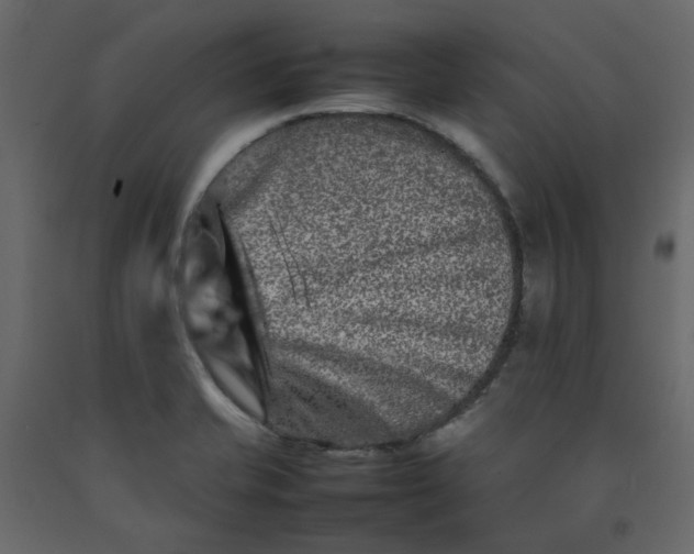 X0000092231421200710051210