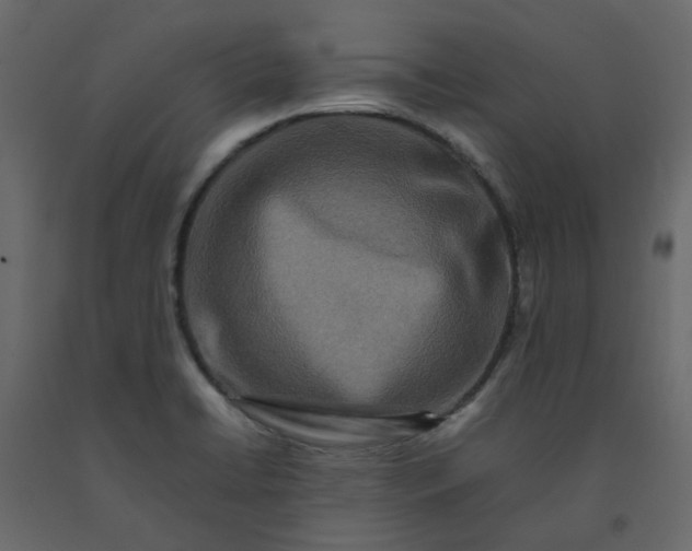 X0000092231422200710051210