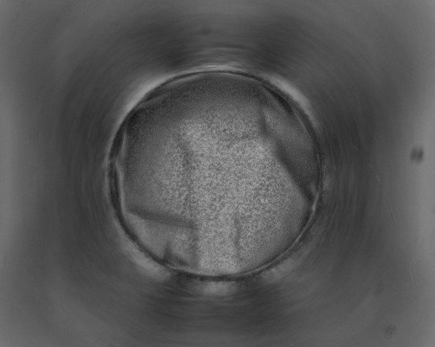 X0000092231423200710051210