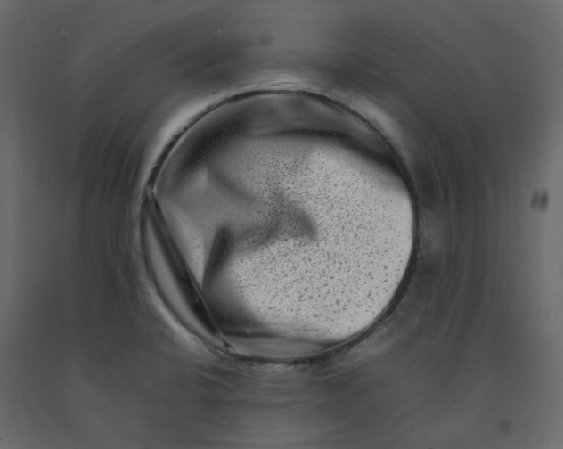 X0000092231424200710051210