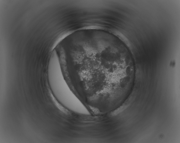 X0000092231425200710051210