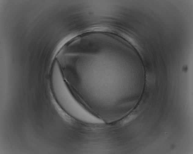 X0000092231426200710051210