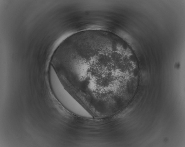 X0000092231427200710051210