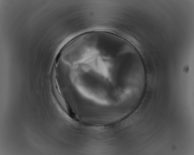 X0000092231428200710051210