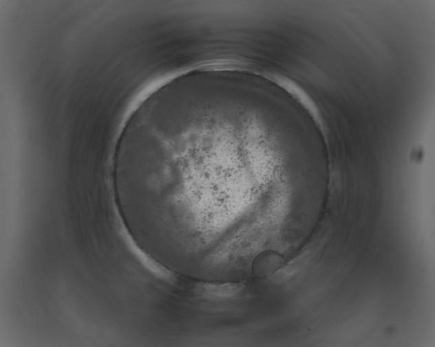 X0000092231429200710051210