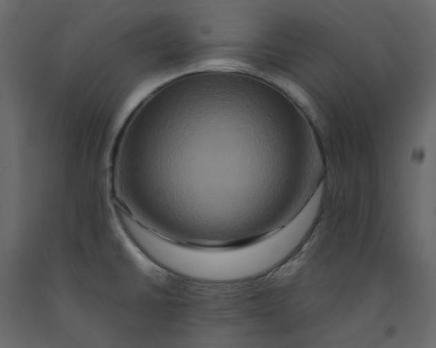 X0000092231430200710051210