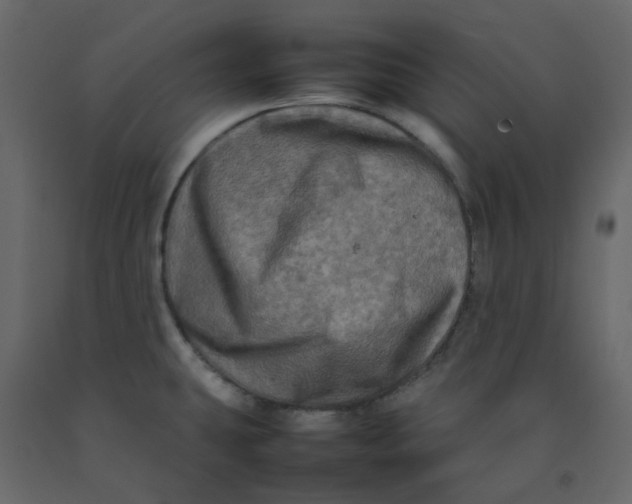 X0000092231431200710051210