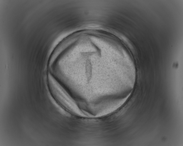 X0000092231432200710051210