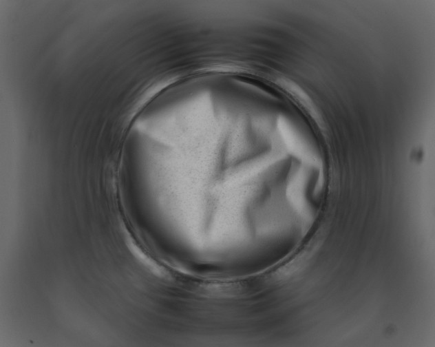 X0000092231433200710051210