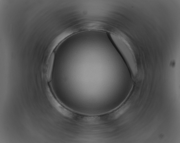 X0000092231434200710051210