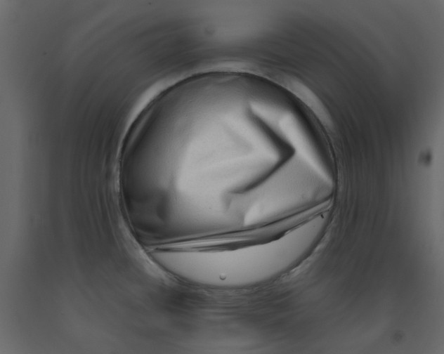 X0000092231436200710051210