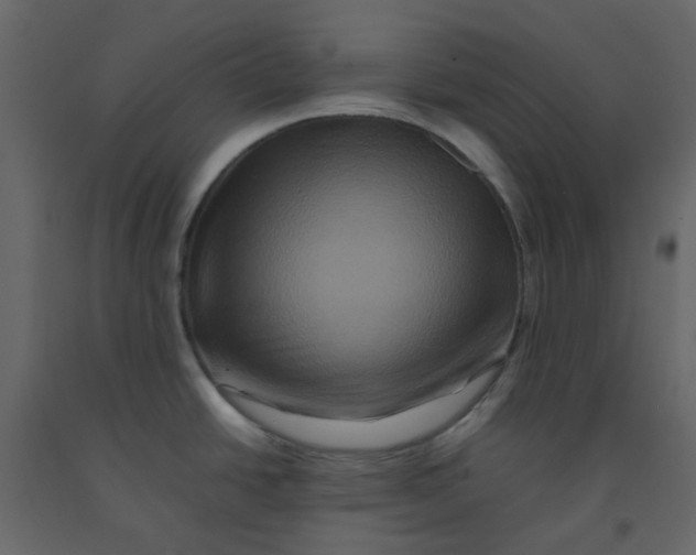 X0000092231438200710051210