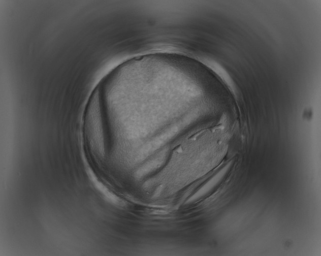 X0000092231439200710051210