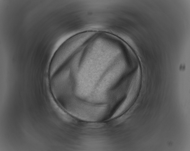 X0000092231440200710051210