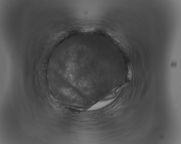 X0000092231441200710051209