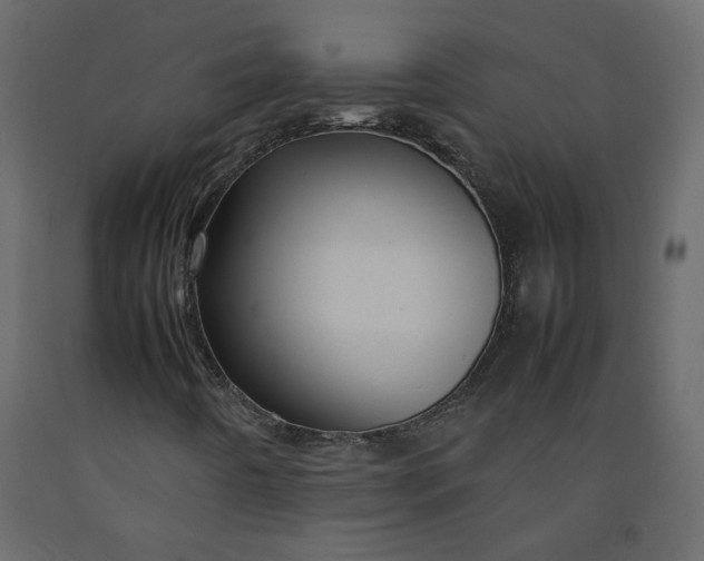 X0000092231442200710051209