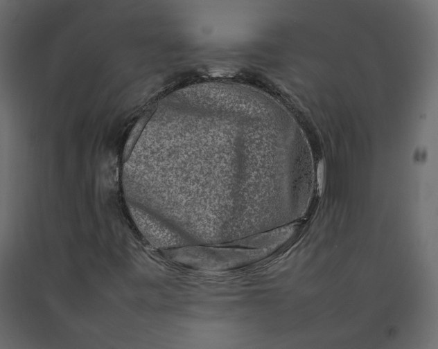 X0000092231443200710051209