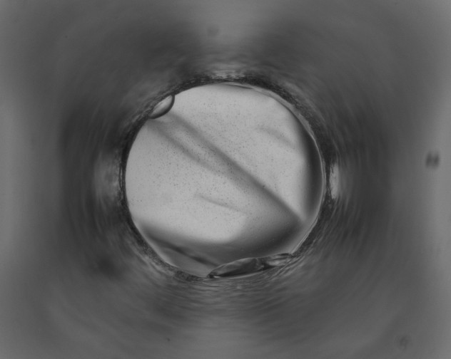 X0000092231444200710051209