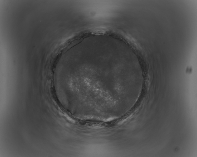 X0000092231445200710051209