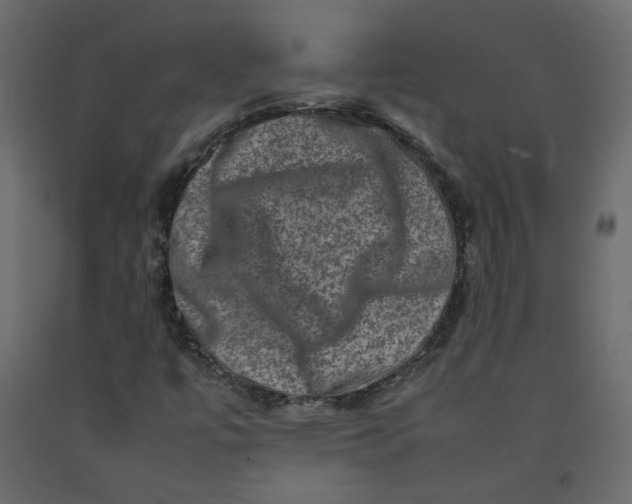 X0000092231447200710051209