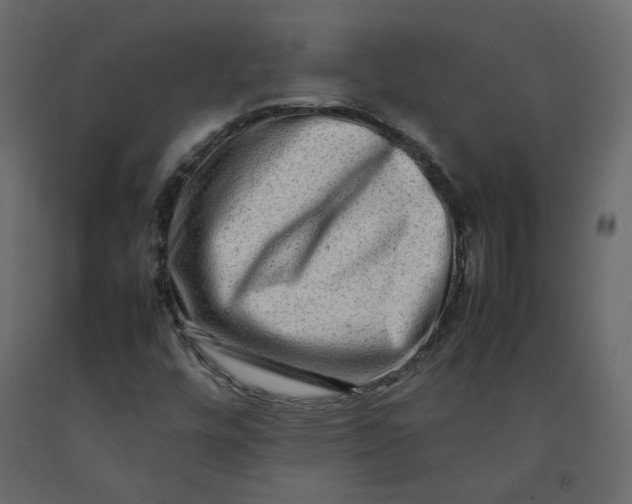 X0000092231448200710051209