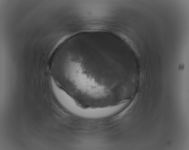 X0000092231449200710051209