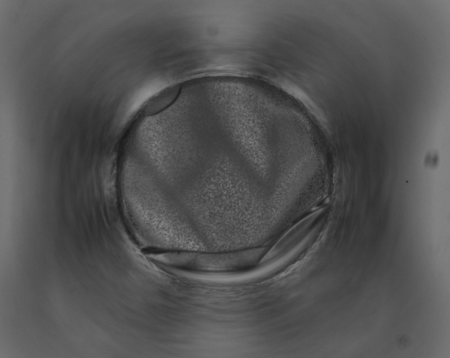 X0000092231450200710051209