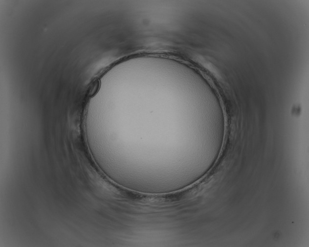 X0000092231451200710051209