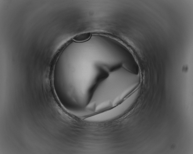 X0000092231452200710051209