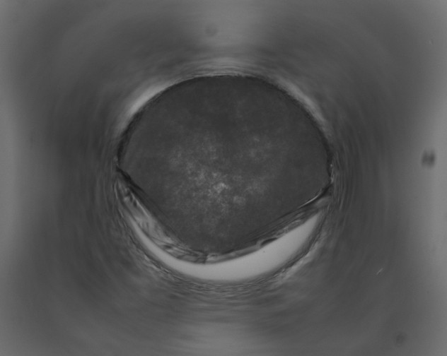 X0000092231453200710051209