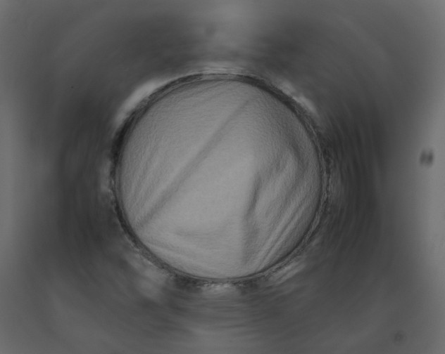 X0000092231454200710051209