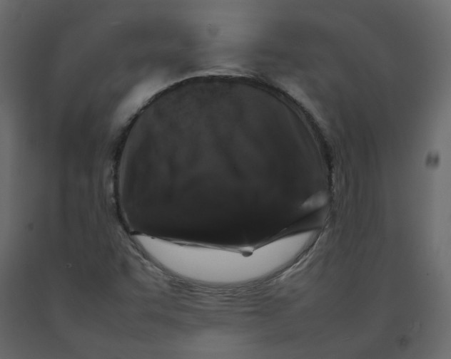 X0000092231455200710051209