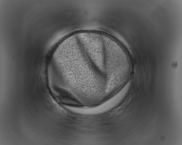 X0000092231456200710051209