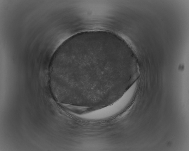 X0000092231457200710051209