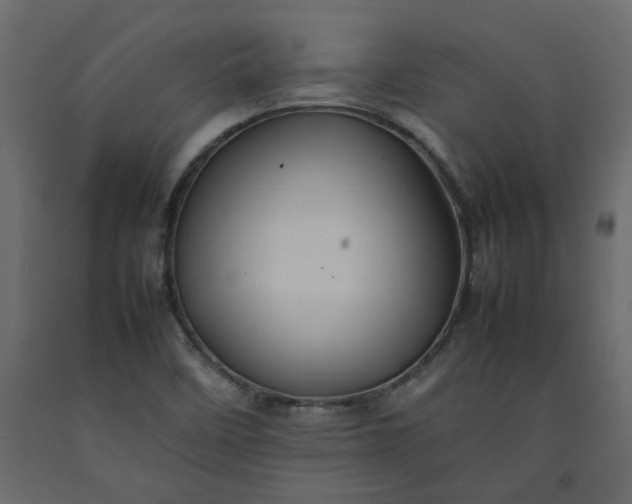 X0000092231458200710051209