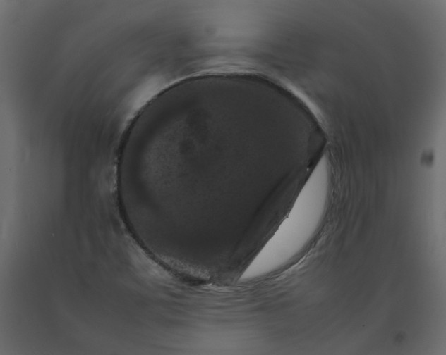 X0000092231459200710051209