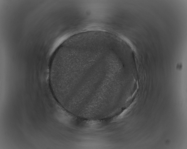 X0000092231461200710051209