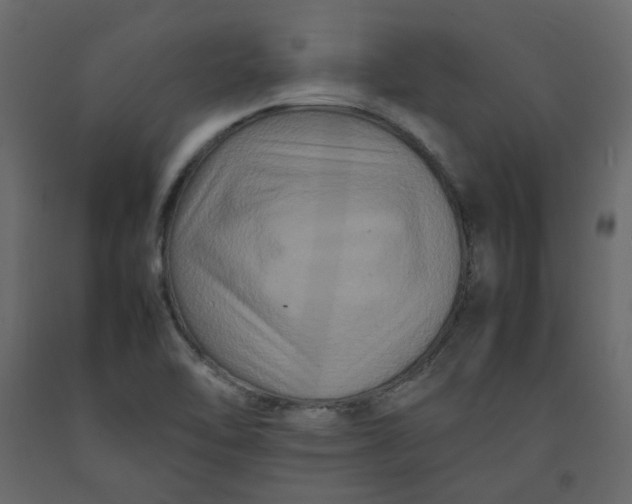 X0000092231462200710051209