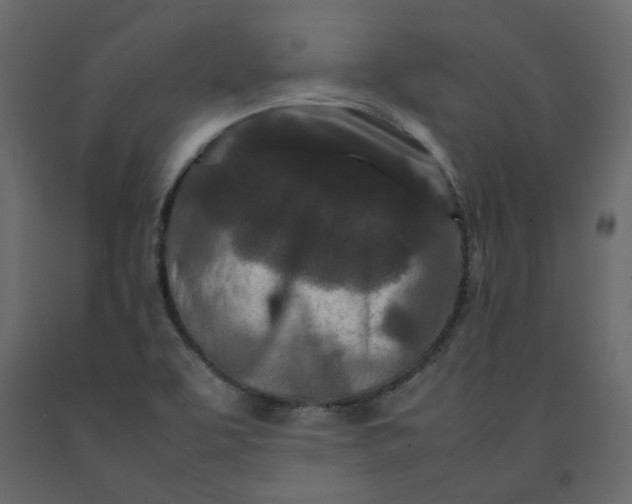 X0000092231463200710051209