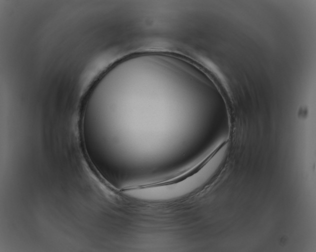 X0000092231464200710051209