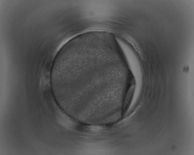 X0000092231465200710051209