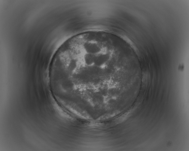 X0000092231466200710051209